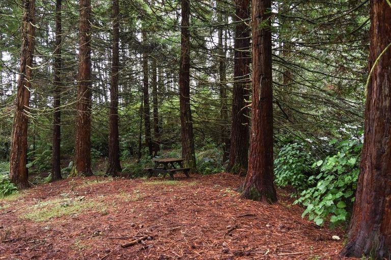 Photo of property in 14 Tupelo Place, Ohauiti, Tauranga, 3112