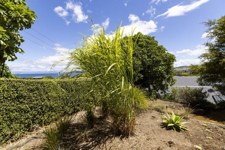 Photo of property in 66 Pataka Road, Taupo, 3330