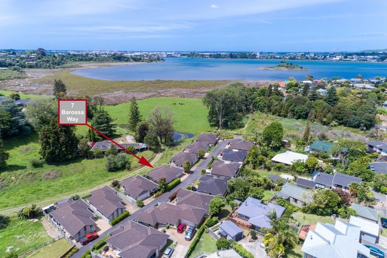 Photo of property in 7 Barossa Way, Brookfield, Tauranga, 3110