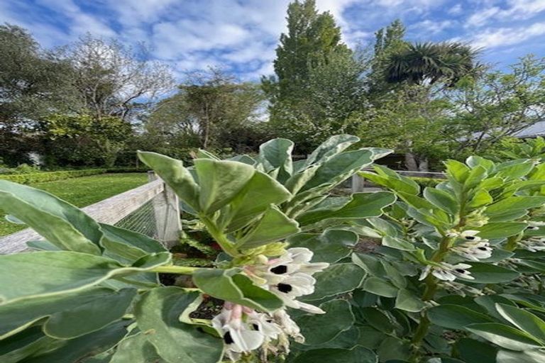 Photo of property in 78 Corson Avenue, Beckenham, Christchurch, 8023