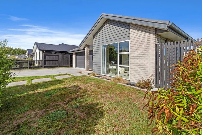 Photo of property in 17 Morrin Street, Morrinsville, 3300