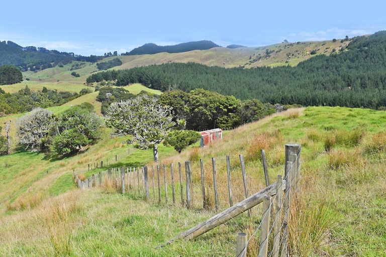 Photo of property in 121 Guy Road, Kaipara Flats, Warkworth, 0981