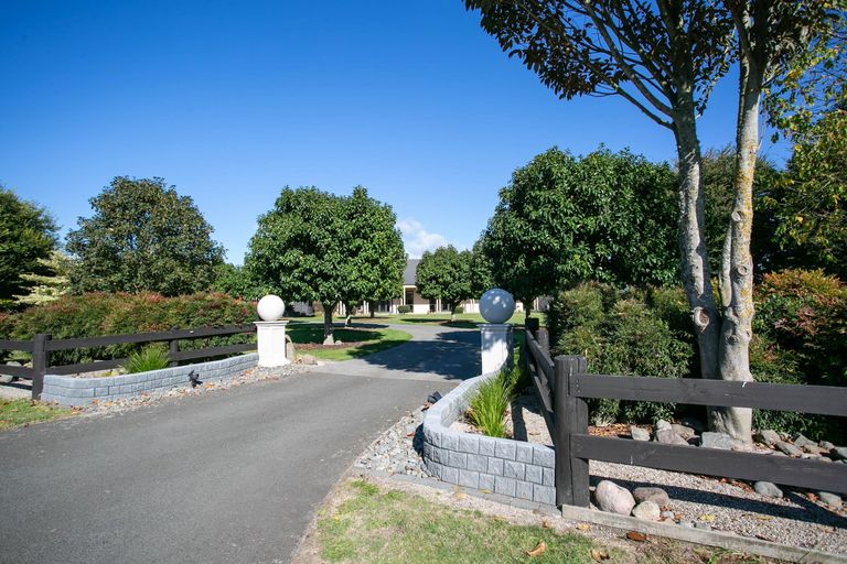 Photo of property in 18 Everad Avenue, Matamata, 3472