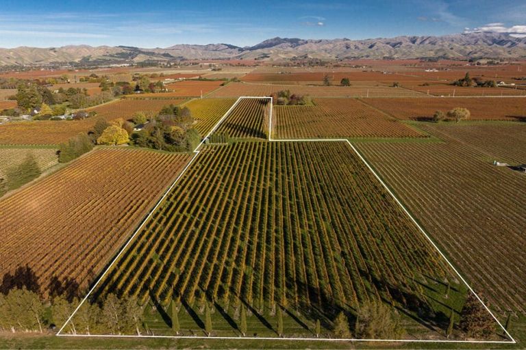 Photo of property in 322 Middle Renwick Road, Springlands, Blenheim, 7271