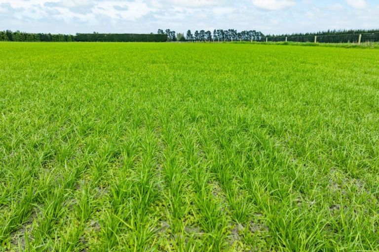 Photo of property in 609 Woodstock Road, Burnt Hill, Oxford, 7495