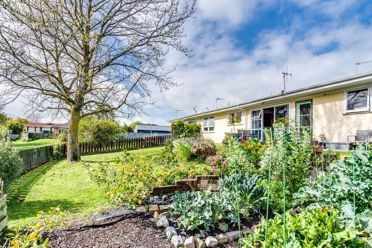 Photo of property in 4/29 White Street, Taradale, Napier, 4112