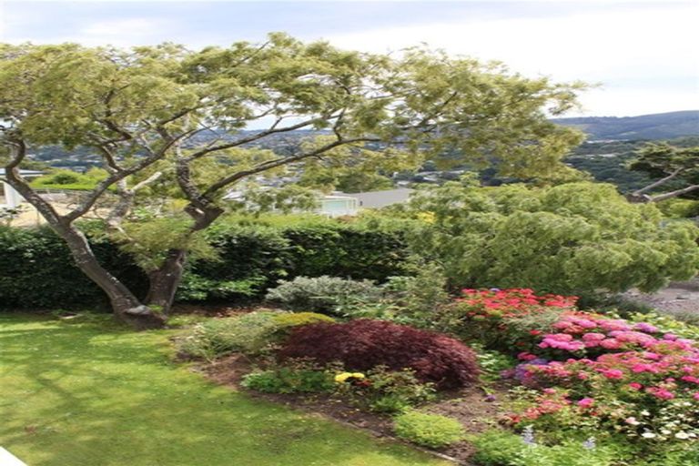 Photo of property in 113 Signal Hill Road, Opoho, Dunedin, 9010