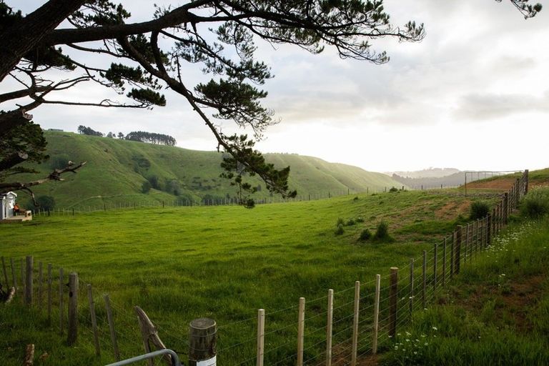 Photo of property in 307 Dill Road, Kaipara Flats, Warkworth, 0984