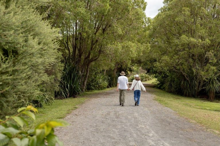 Photo of property in 69 Athfield Drive, Bethlehem, Tauranga, 3110