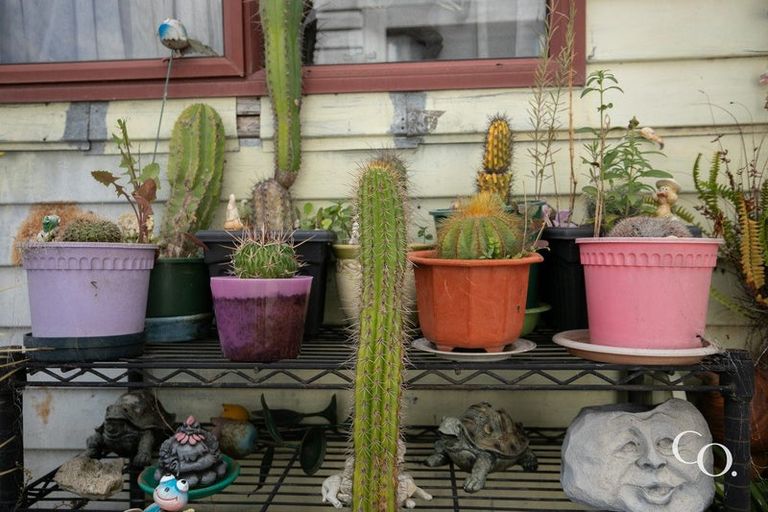 Photo of property in 512 Southampton Street East, Hastings, 4122