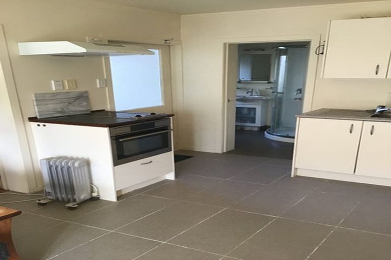 Photo of property in 45 Masterton Road, Rothesay Bay, Auckland, 0630