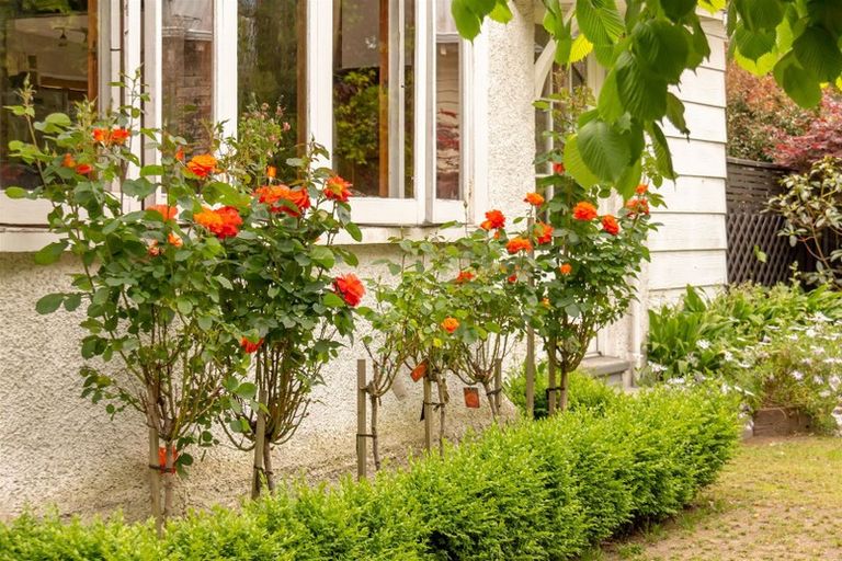 Photo of property in 100 Colombo Road, Masterton, 5810