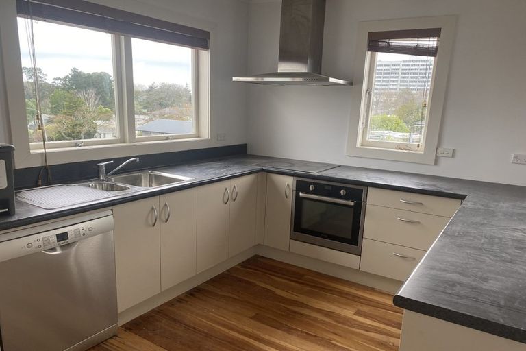 Photo of property in 113 Pembroke Street, Hamilton Lake, Hamilton, 3204