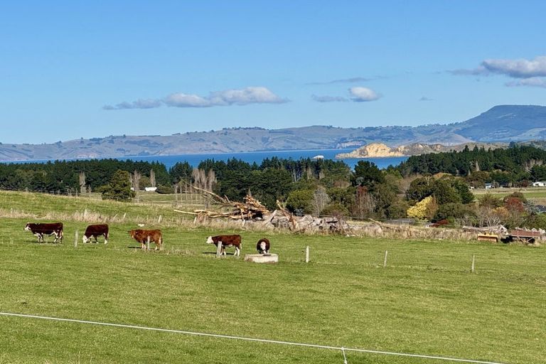 Photo of property in 74 Edinburgh Street, Waikouaiti, 9510