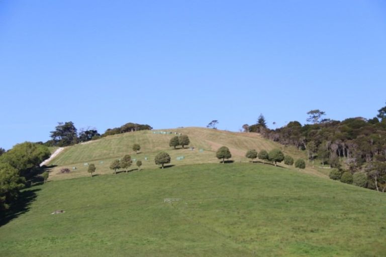 Photo of property in 176 Morrison Road, Arapohue, Dargaville, 0374