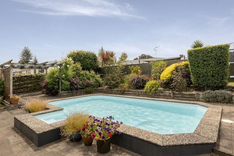Photo of property in 17 Glenfield Place, Brookfield, Tauranga, 3110