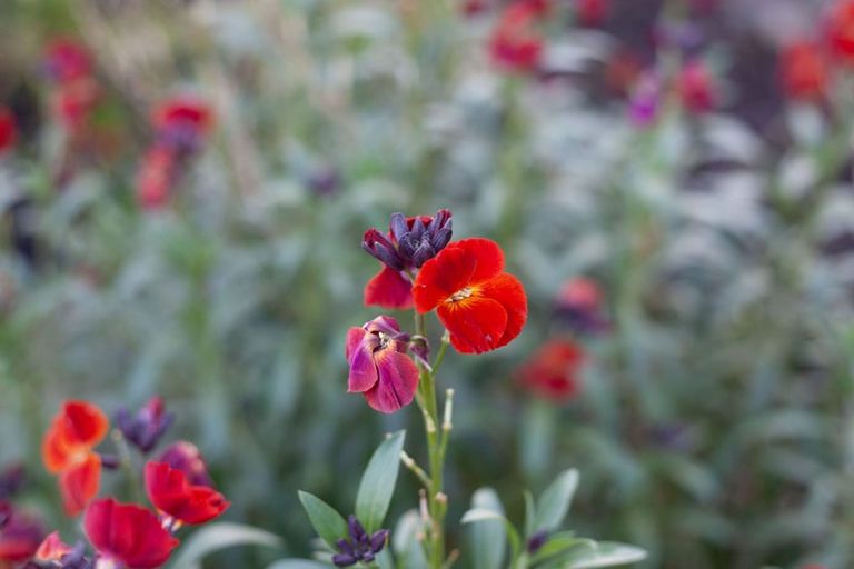 Photo of property in Drummond Street, Eketahuna, 4900