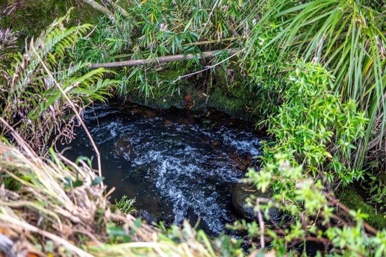 Photo of property in 75a Riddell Road, Kerikeri, 0230