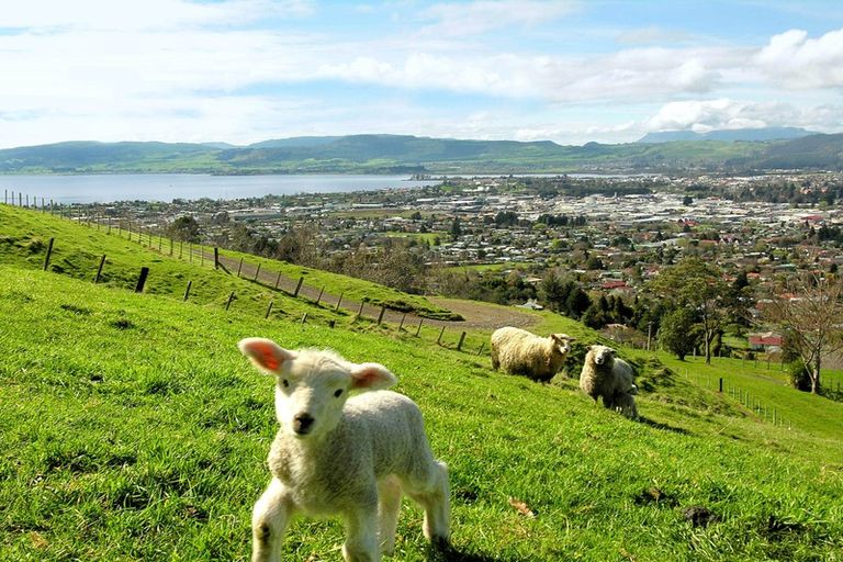 Photo of property in 72 Mountain Road, Western Heights, Rotorua, 3015