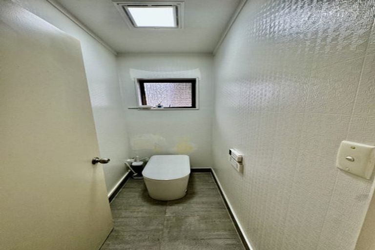 Photo of property in 161 West Harbour Drive, West Harbour, Auckland, 0618