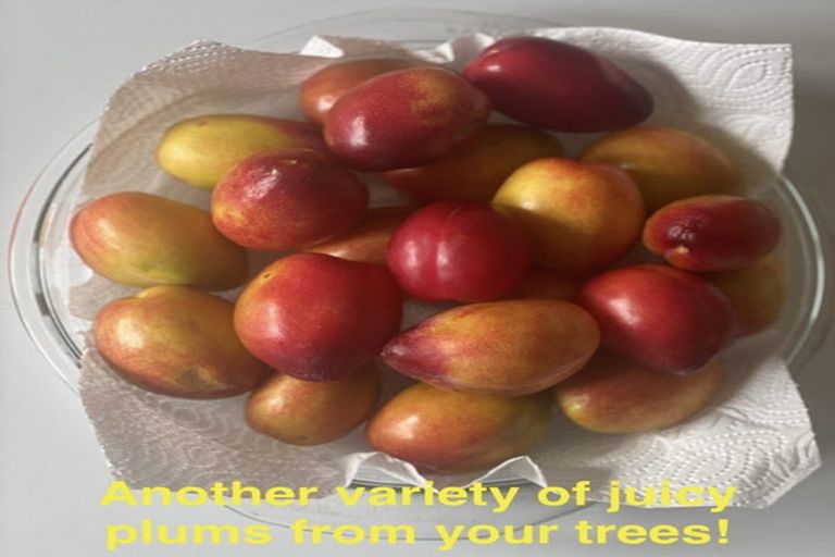 Photo of property in 161 Hautapu Street, Taihape, 4720