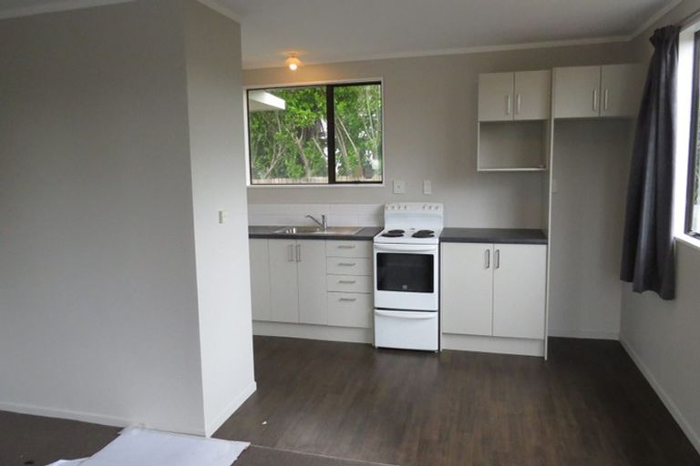 Photo of property in 101a Rimu Street, Maeroa, Hamilton, 3200