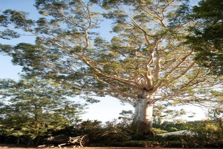 Photo of property in 30 George Street, Rotherham, 7379