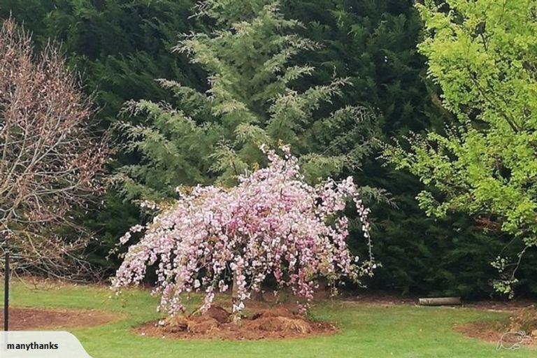 Photo of property in 145 Karanga Road, Dunsandel, Leeston, 7682