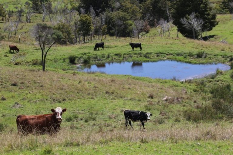 Photo of property in 2821 State Highway 1, Umawera, Okaihau, 0476