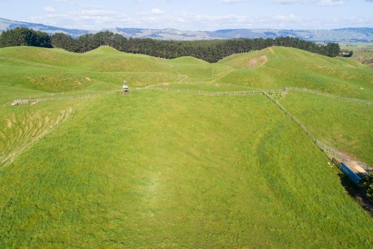 Photo of property in 454 Watershed Road, Bunnythorpe, 4470