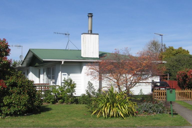 Photo of property in 10 Joanne Crescent, Pukehangi, Rotorua, 3015
