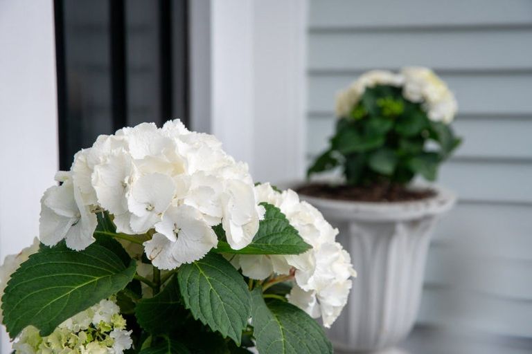 Photo of property in 86 The Parade, Island Bay, Wellington, 6023