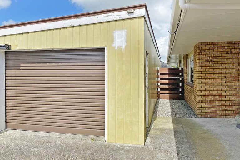 Photo of property in 411 Ruahine Street, Terrace End, Palmerston North, 4410