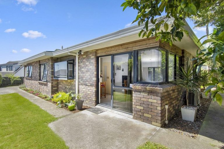 Photo of property in 40b Bayfair Drive, Mount Maunganui, 3116