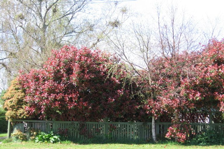 Photo of property in 38 Old Quarry Road, Selwyn Heights, Rotorua, 3015