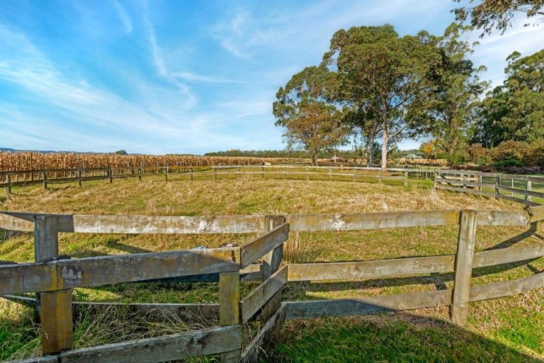 Photo of property in 268 Matawai Road, Waerengaahika, Gisborne, 4071