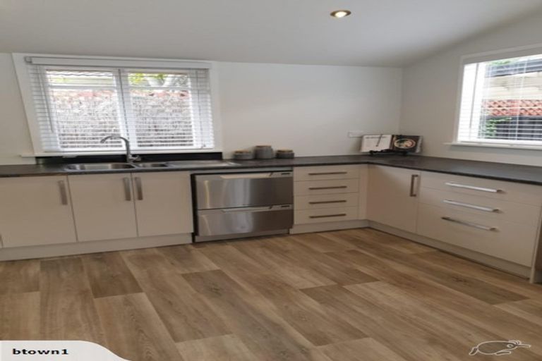 Photo of property in 39 Petrie Street, Richmond, Christchurch, 8013