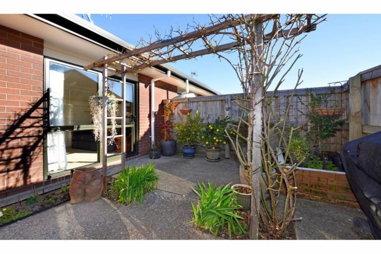 Photo of property in Brown Acre, 43/53 Parker Street, Motueka, 7120