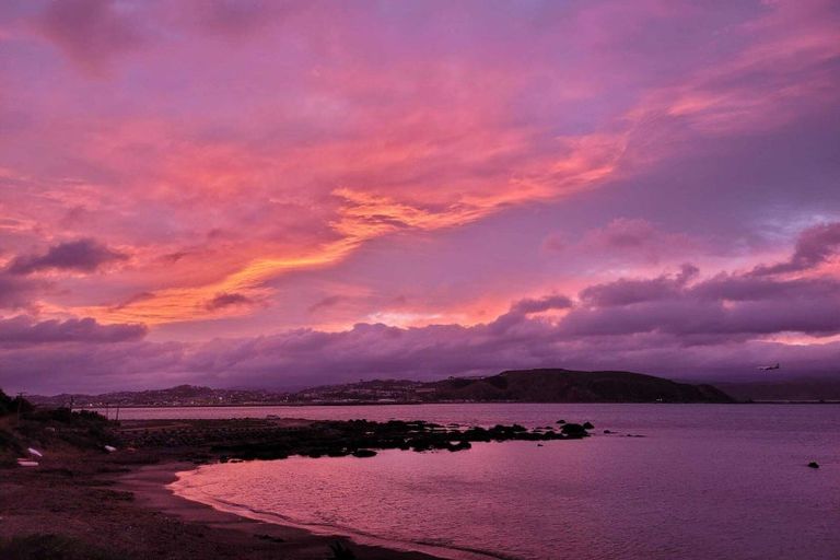 Photo of property in 2/420 Queens Drive, Lyall Bay, Wellington, 6022