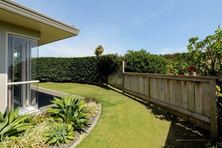 Photo of property in 1 Plateau Heights, Mount Maunganui, 3116