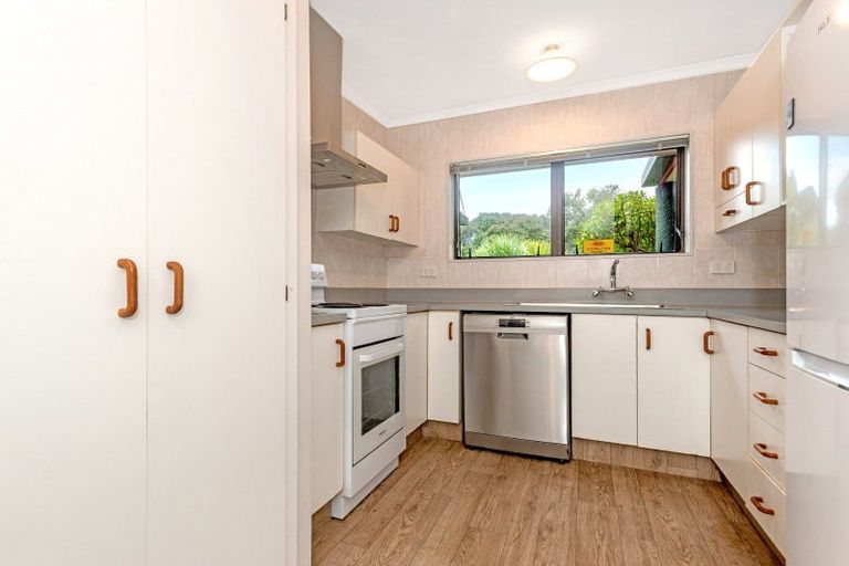 Photo of property in 1 Salisbury Road, Awapuni, Gisborne, 4010