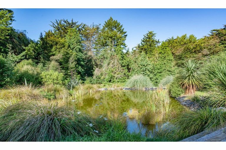 Photo of property in 240 Forestry Road, Ashley, Rangiora, 7477