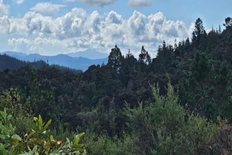 Photo of property in 57 Tarapatiki Drive, Whitianga, 3510