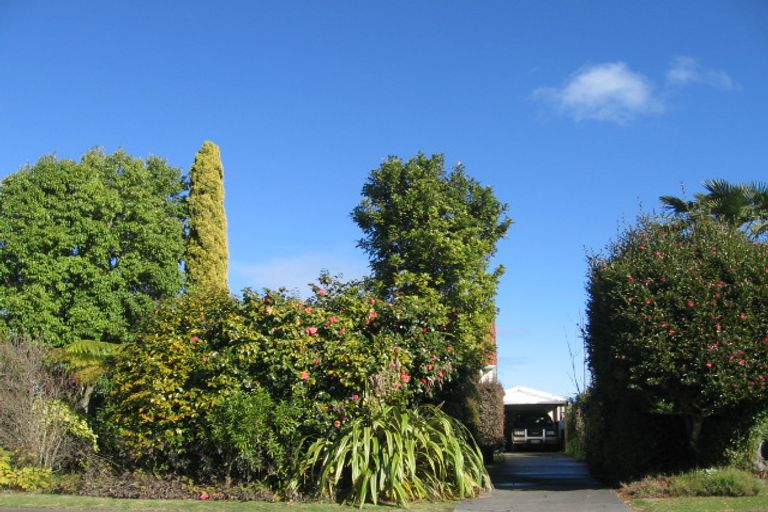 Photo of property in 609 Massey Street, Akina, Hastings, 4122