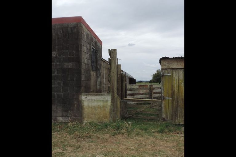 Photo of property in 117 Livingstone Road, Te Poi, Matamata, 3473