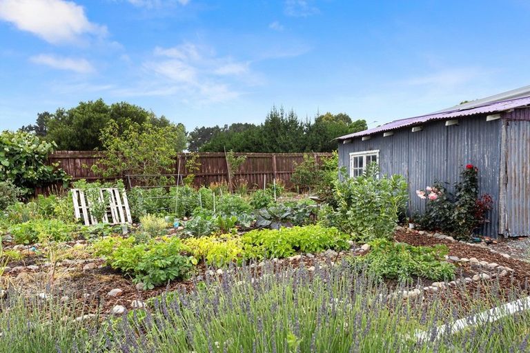 Photo of property in 26 Grierson Avenue, Amberley, 7481