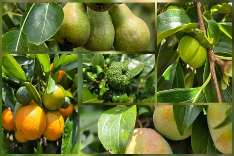 Photo of property in 503 Pickering Road, Tamahere, Hamilton, 3283