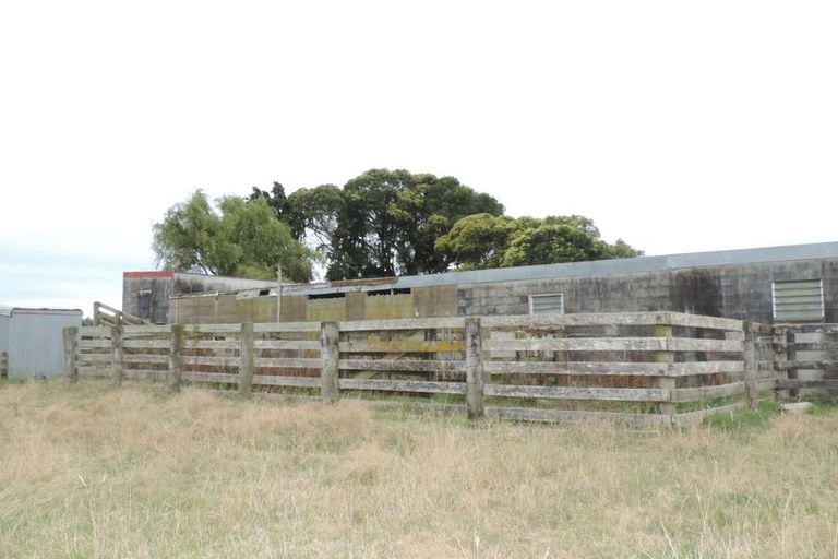 Photo of property in 117 Livingstone Road, Te Poi, Matamata, 3473