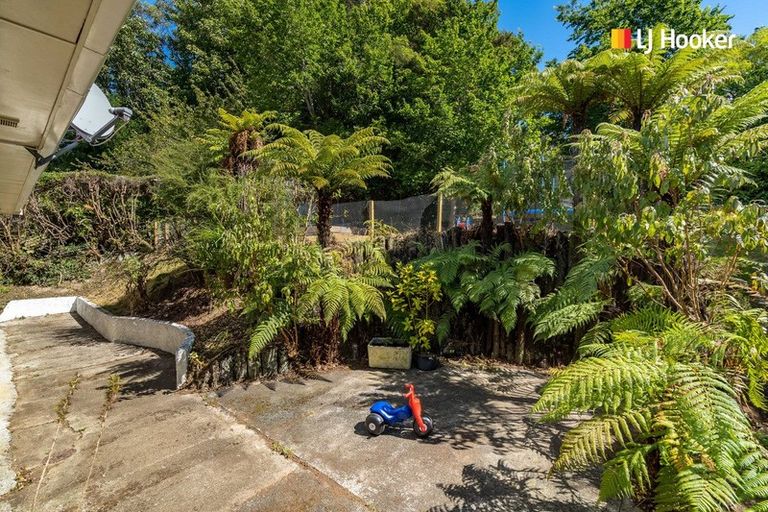 Photo of property in 66 Manchester Street, Bradford, Dunedin, 9011