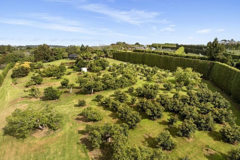 Photo of property in 51 Sinclair Road, Whakamarama, Tauranga, 3179